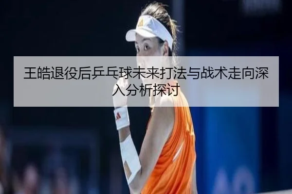 王皓退役后乒乓球未来打法与战术走向深入分析探讨