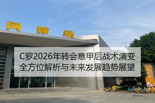 C罗2026年转会意甲后战术演变全方位解析与未来发展趋势展望